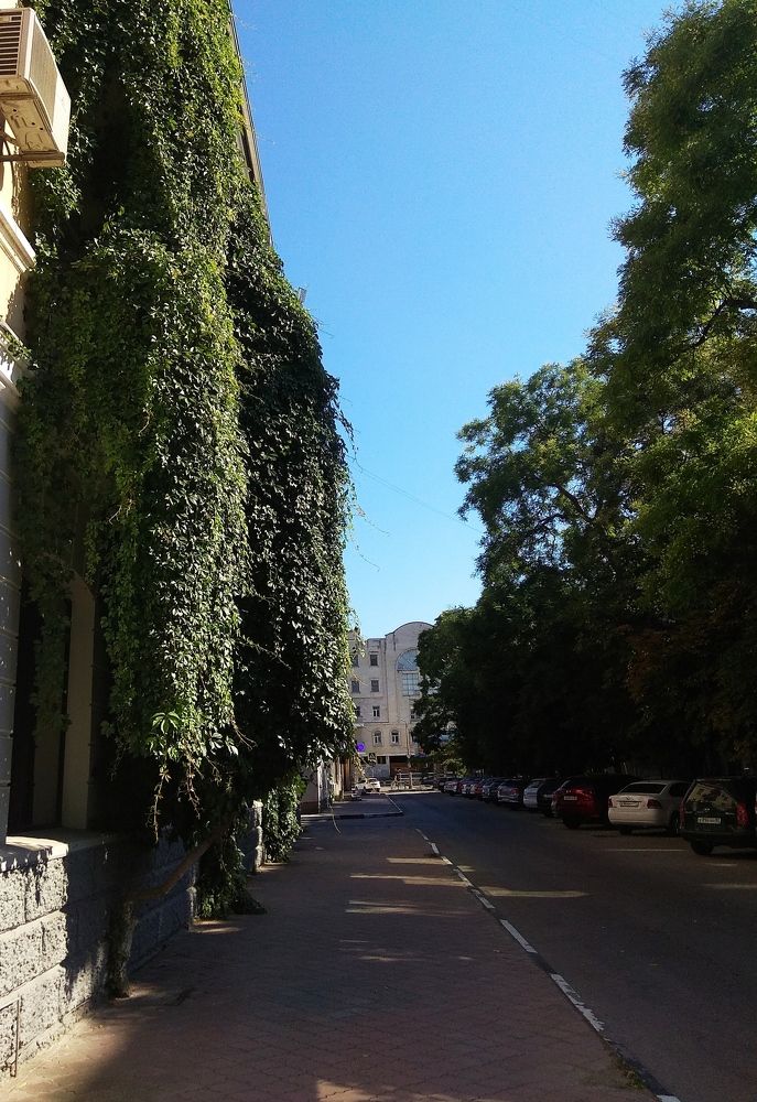 Photograph by Татьяна Кунц