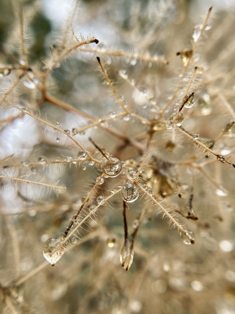 Photograph by Полина Самойлова