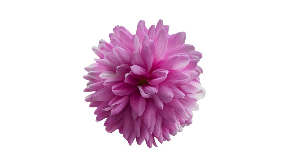 Photograph by Artem Menchshikov