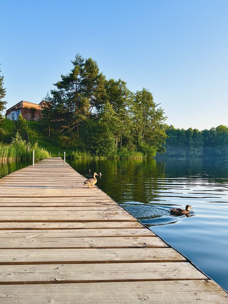 Photograph by Татьяна Зенина