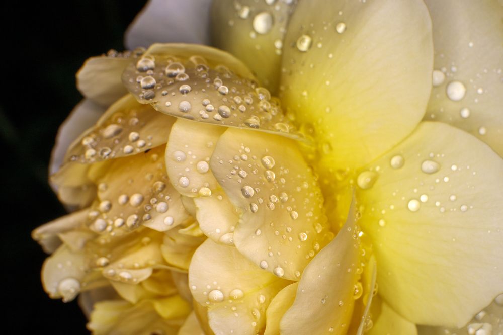 Photograph by Radovan Dziak