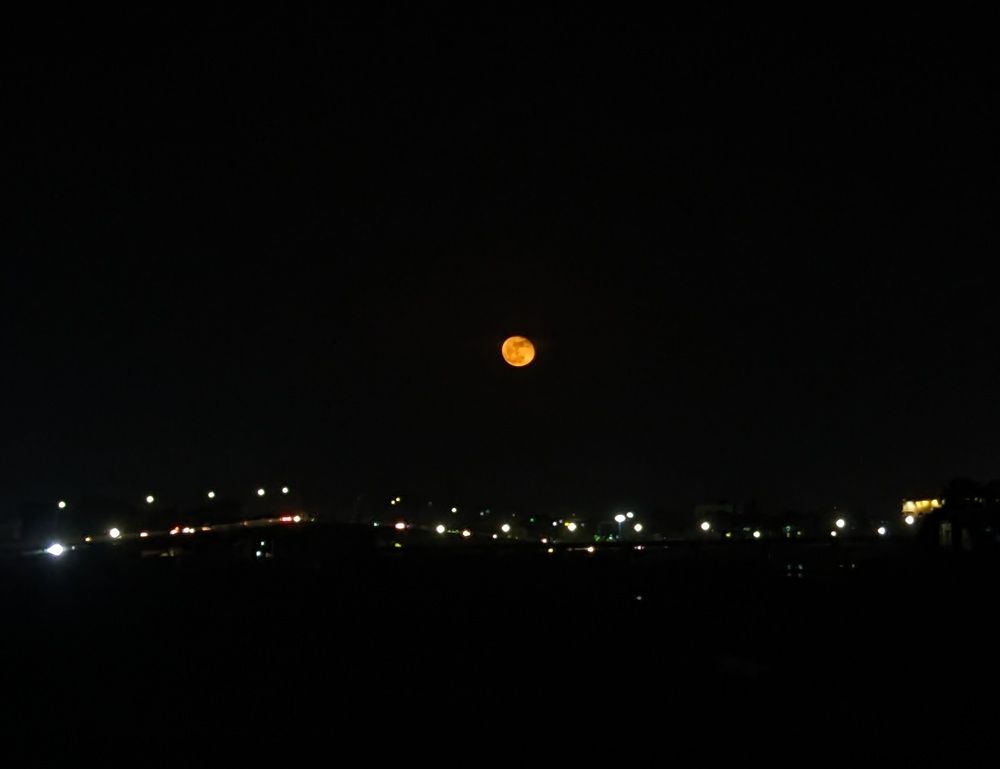 Photograph by SARAVANA MANICKAM