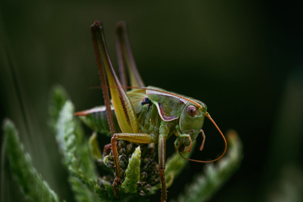 Photograph by Максим Третьяков