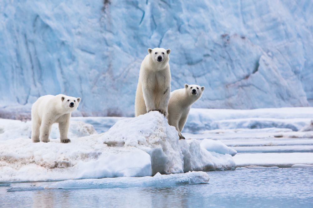 Photograph by Марина Маликова