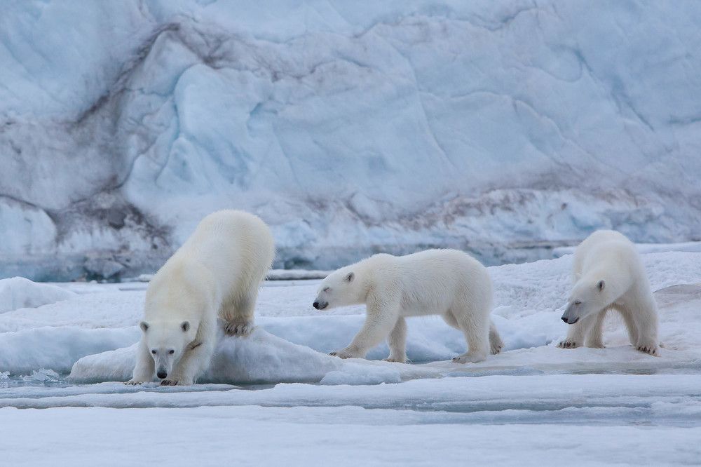 Photograph by Марина Маликова