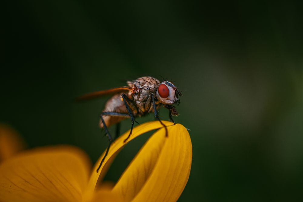 Photograph by Максим Третьяков