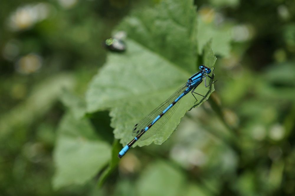 Photograph by Надежда Яковлева