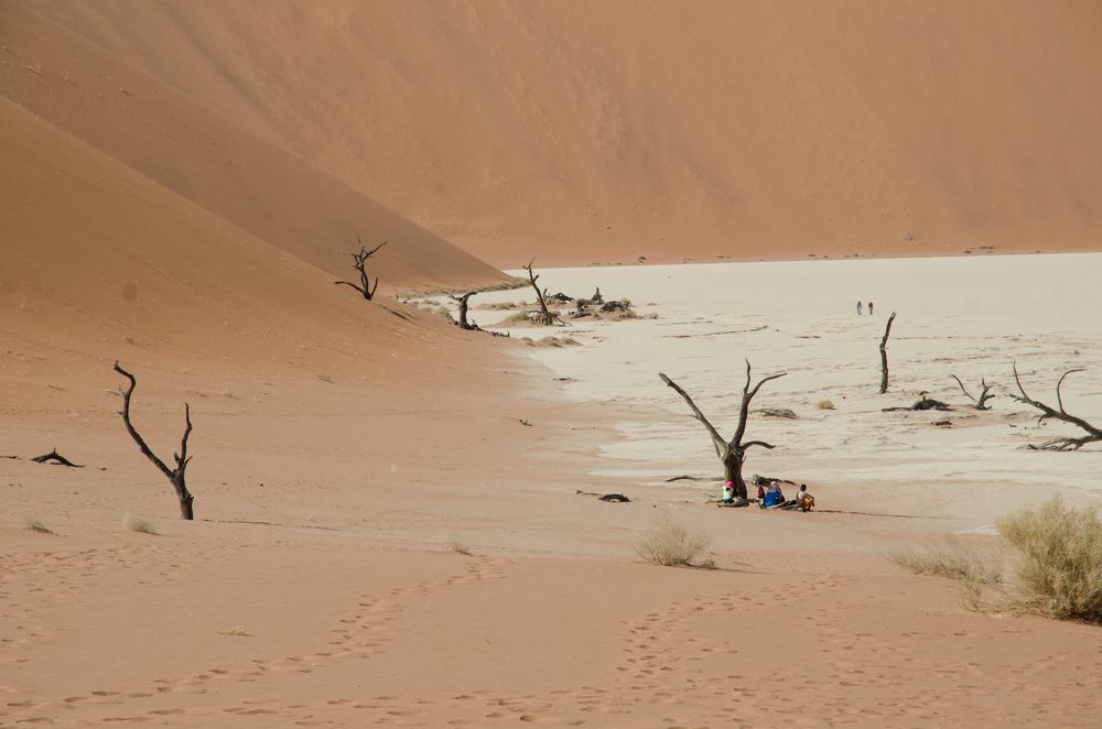 Photograph by Dirk Van Reeth