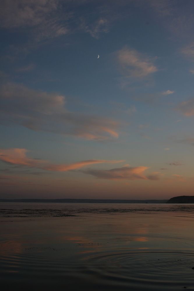 Photograph by Карина Варюхина