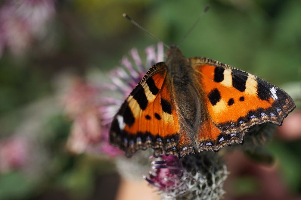 Photograph by Надежда Яковлева