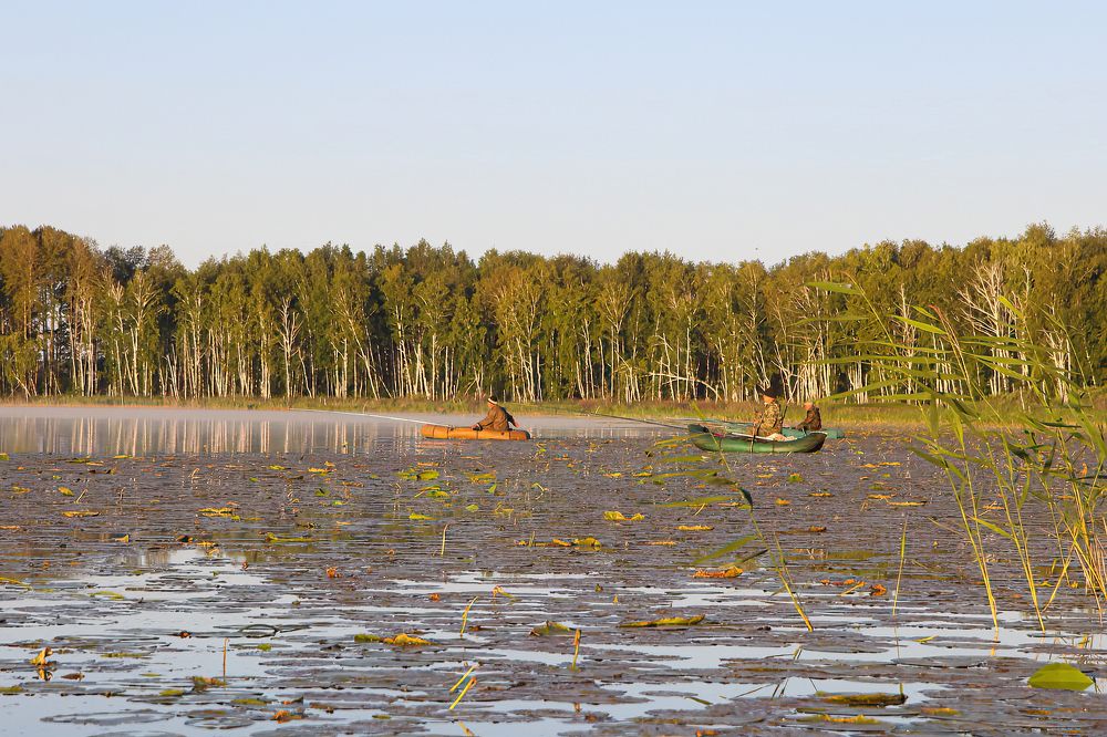 Photograph by Юрий Спасенников