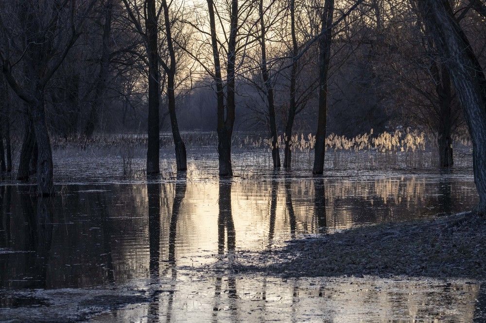 Photograph by Вера Почкалина