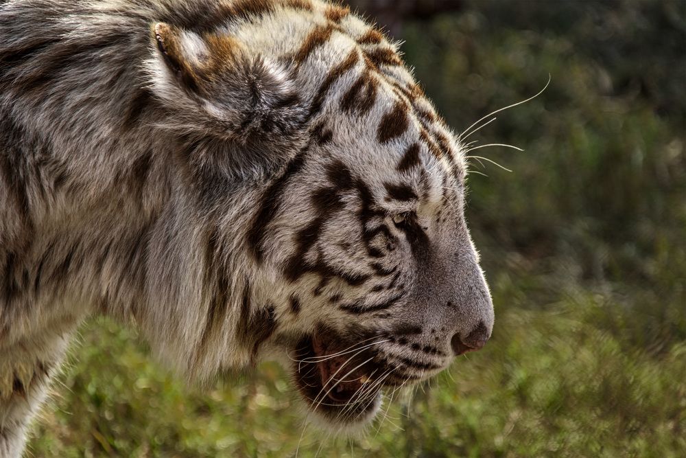 Photograph by Tanja Wolfaardt