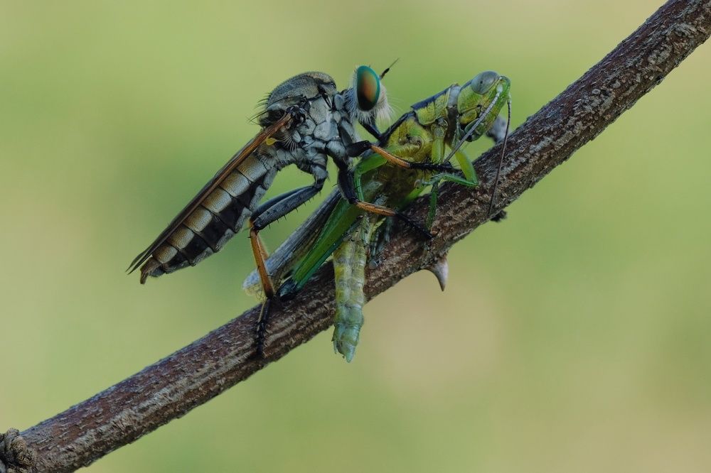 Photograph by catur handoko