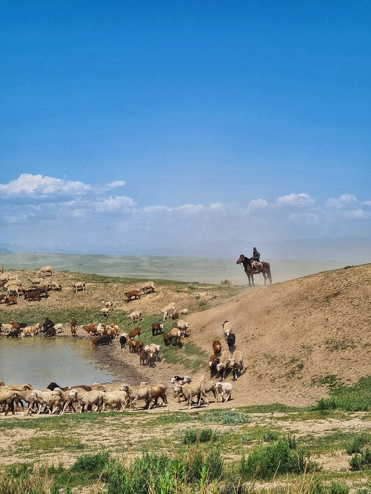 Photograph by Татьяна Соколовская