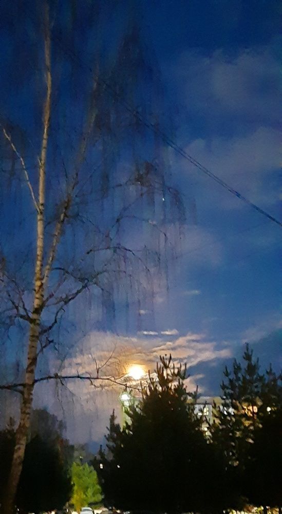 Photograph by Светлана Цапина