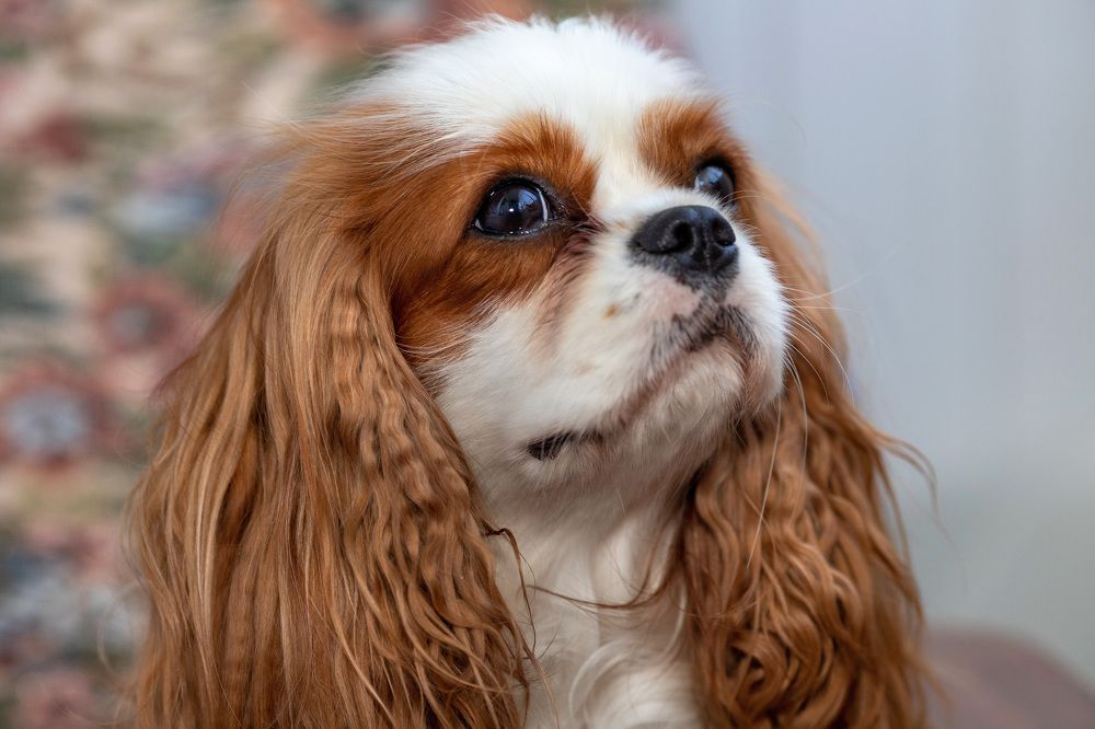 Эй вы там  наверху?