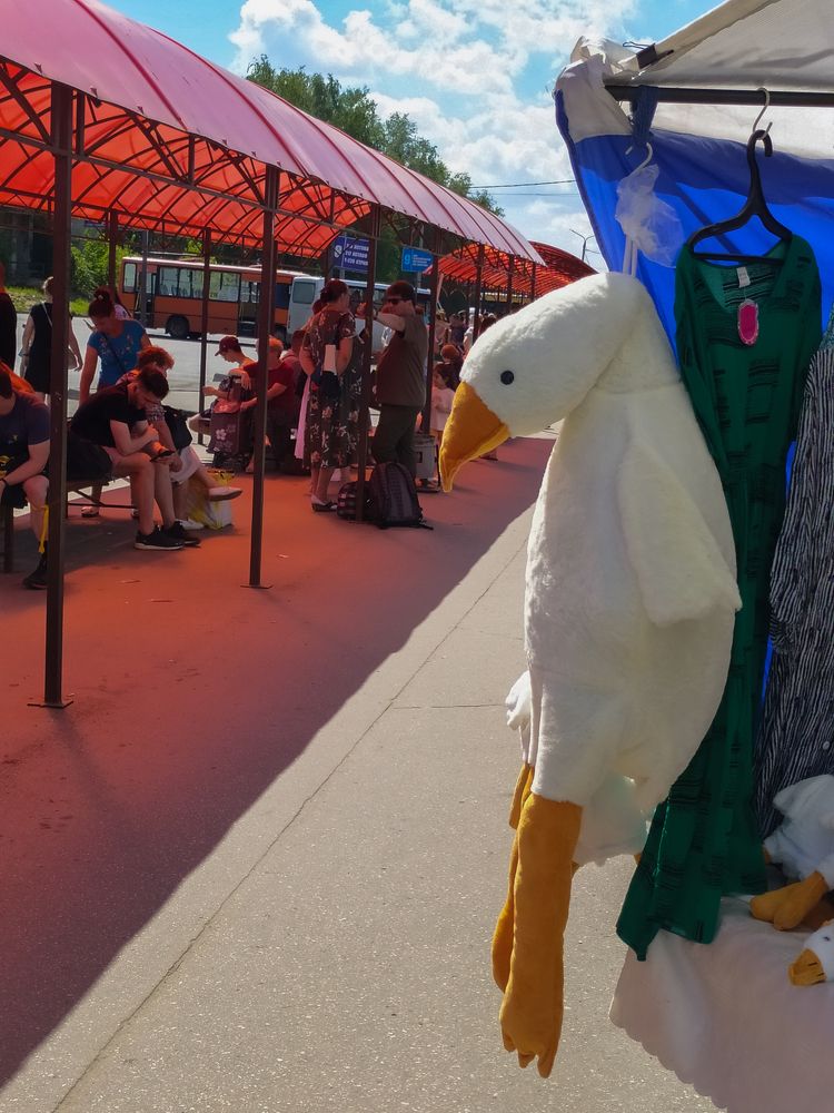 Photograph by Виктор Поверенов