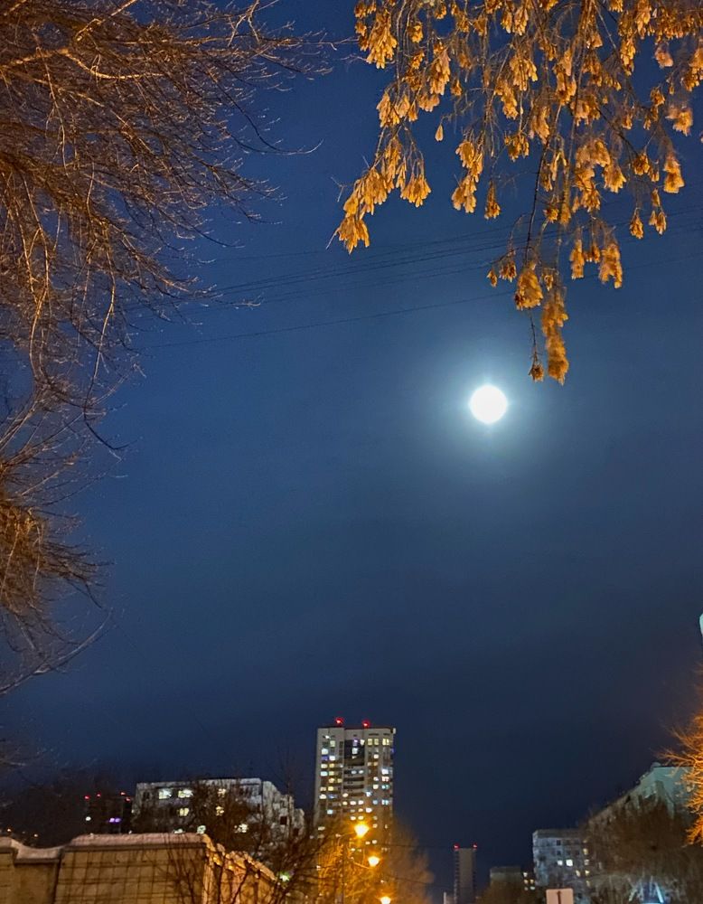 Photograph by Алиса Лукина