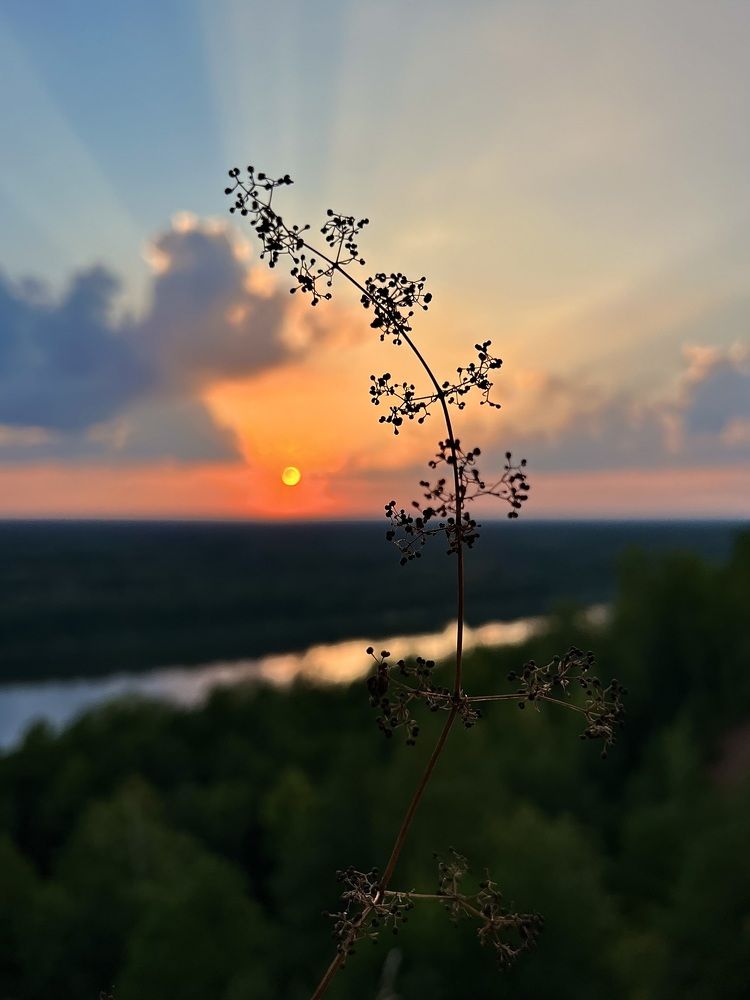 Photograph by Татьяна Зенина