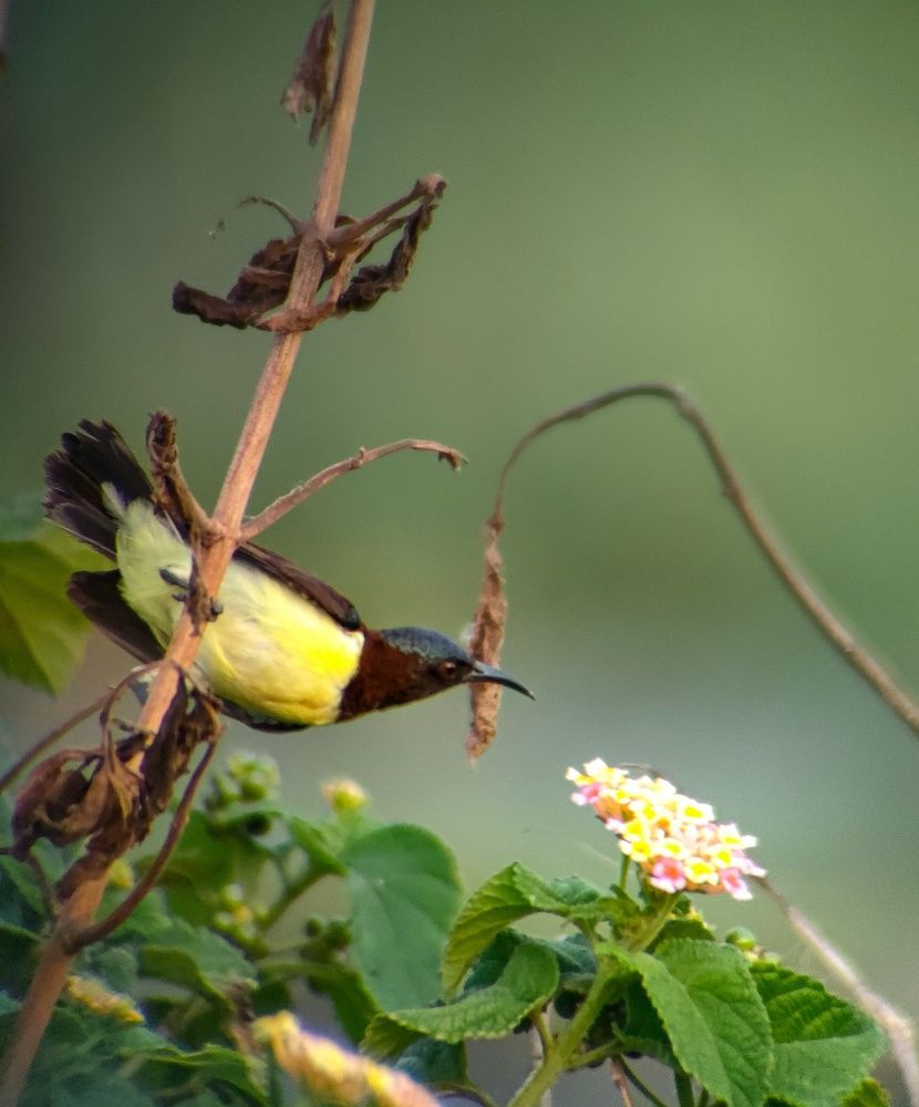 It's time to test honey ?