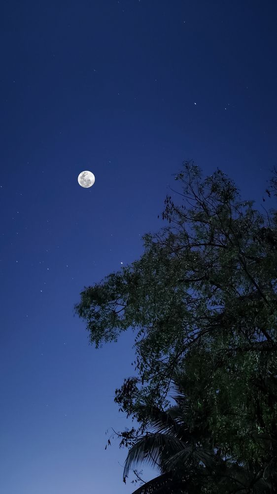 Photograph by Vinoth