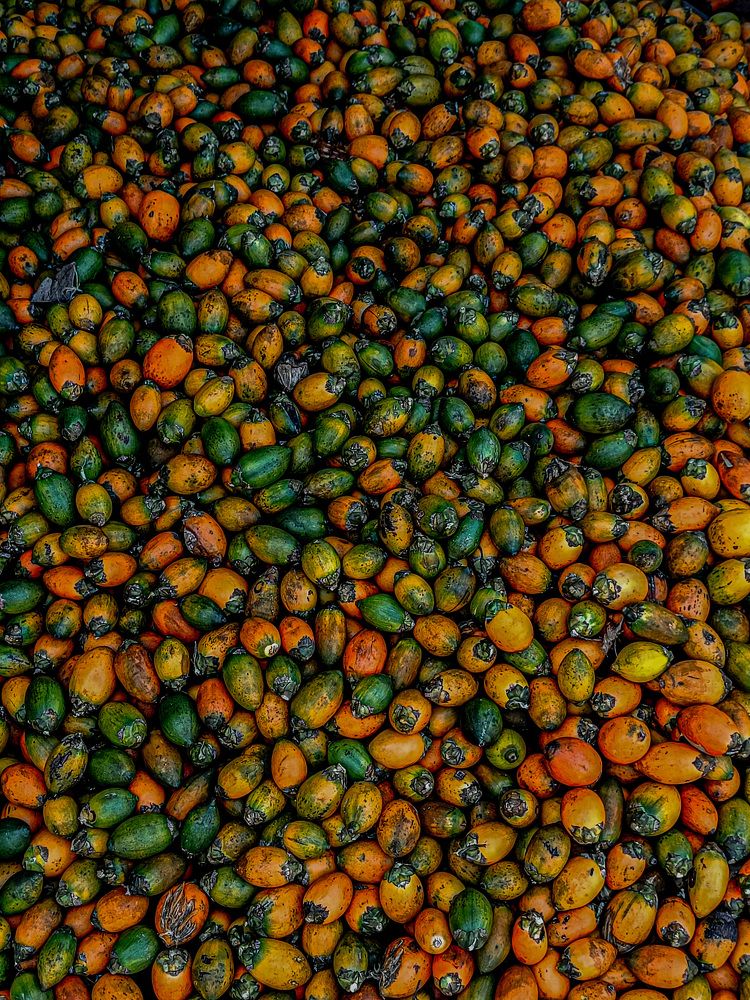 Photograph by Suthakaran Gokulananthan