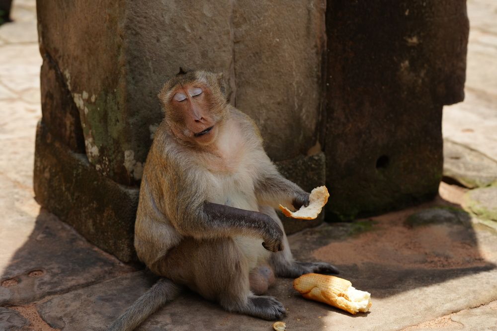 Фотография автора Светлана Зимина
