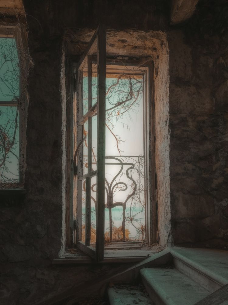 Photograph by Марина Урусова