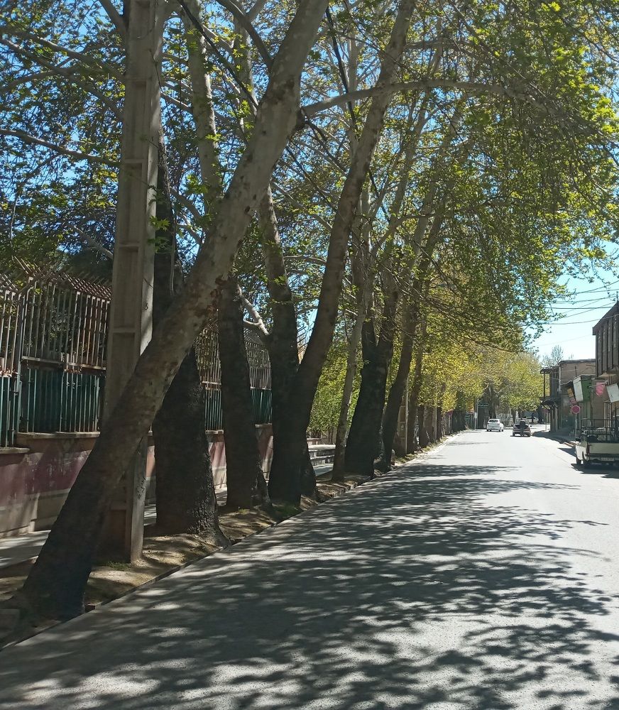 Photograph by Rahim Rahimi