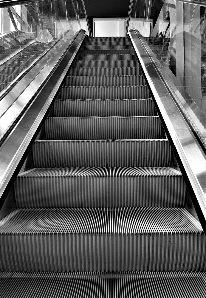 Фотография автора Максим Грибанов