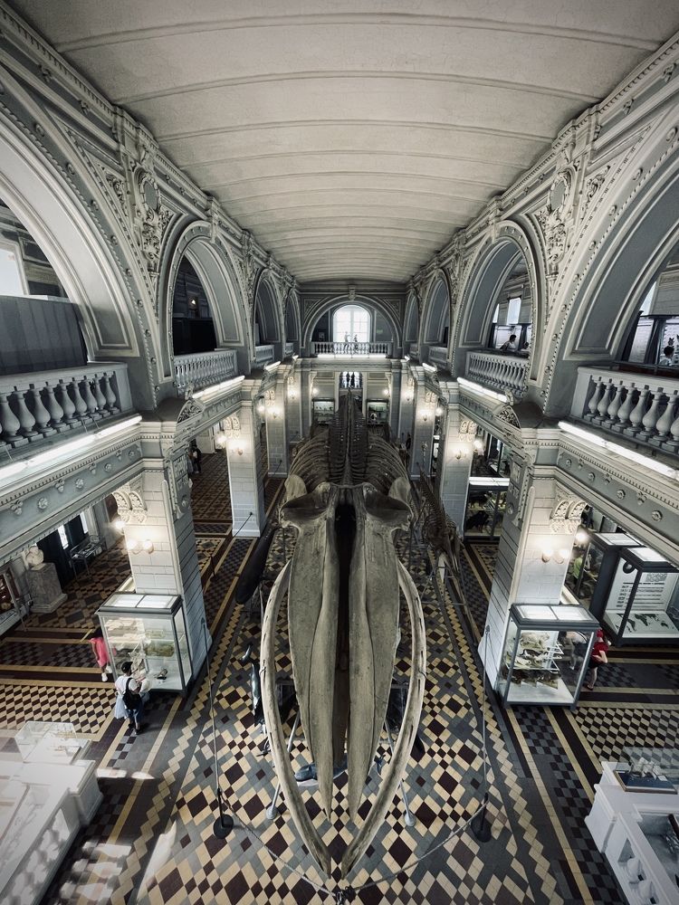 Photograph by Наталья Вистинь