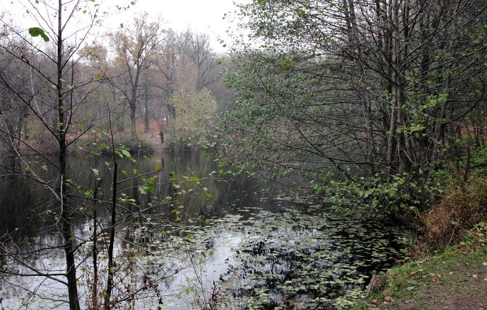 Photograph by Юрий Варюхин