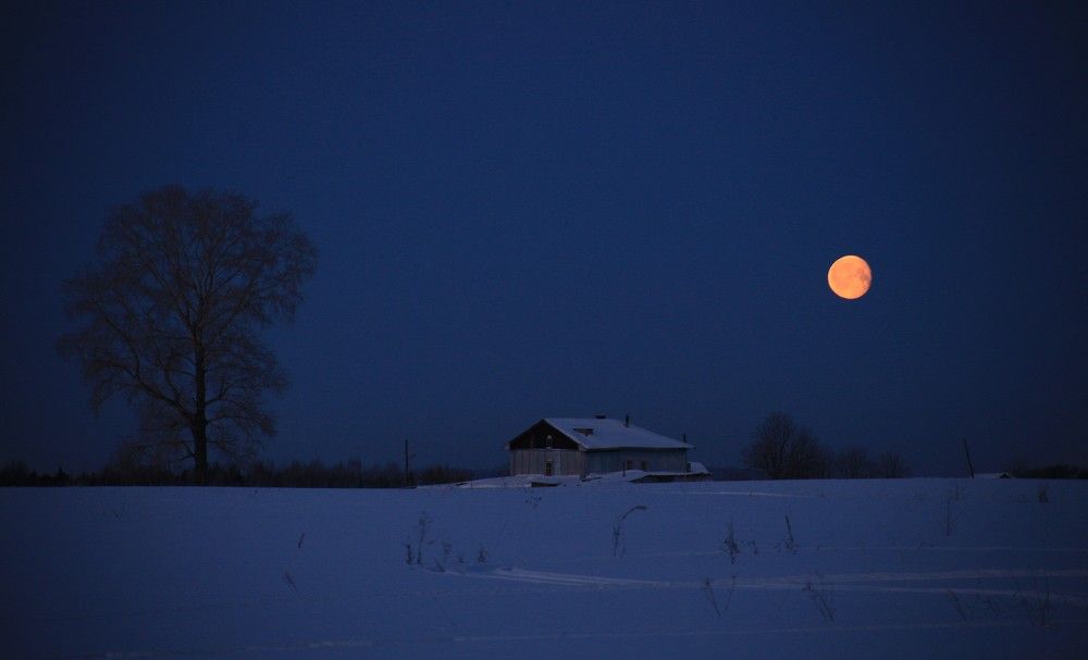 Photograph by 