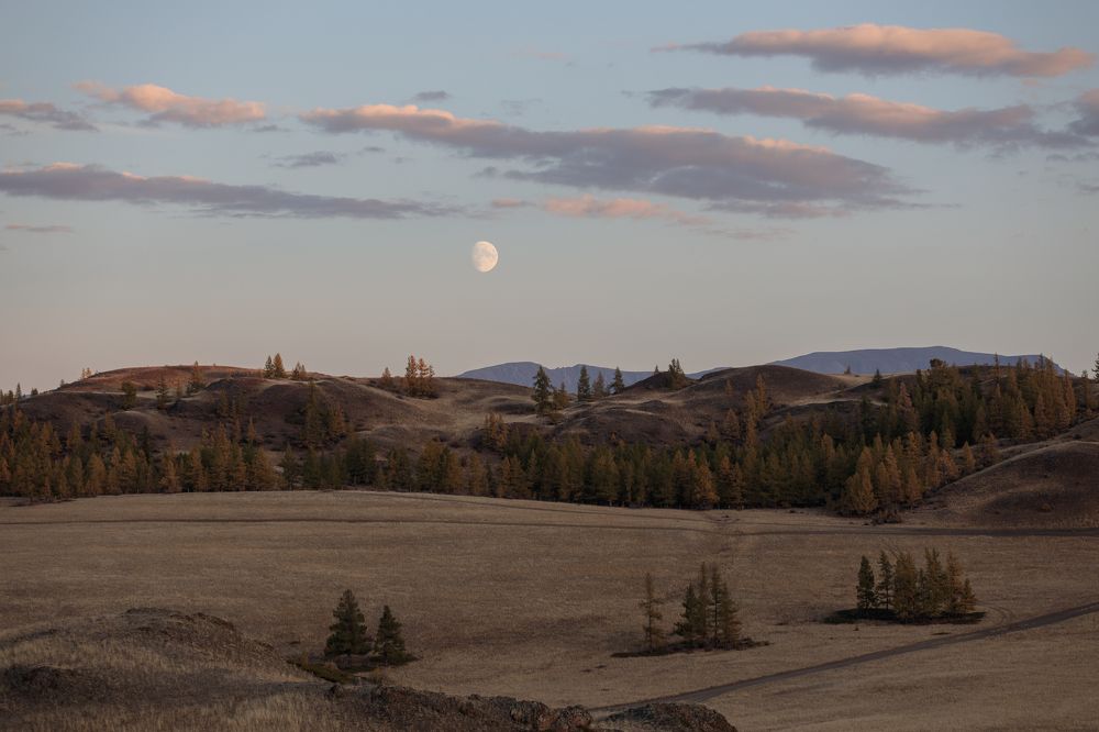 Вечер в Курайской степи