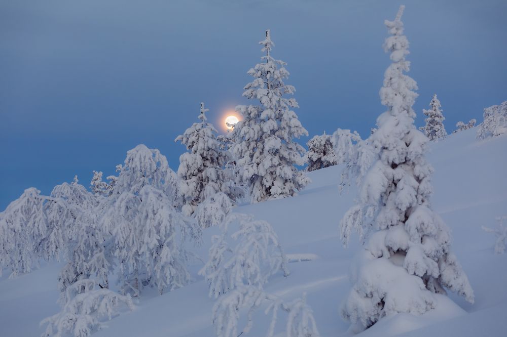 На Волосяной сопке