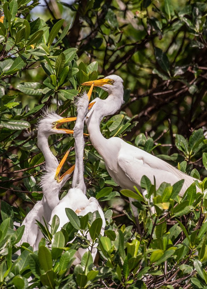 Photograph by Rose-Anne Reyes