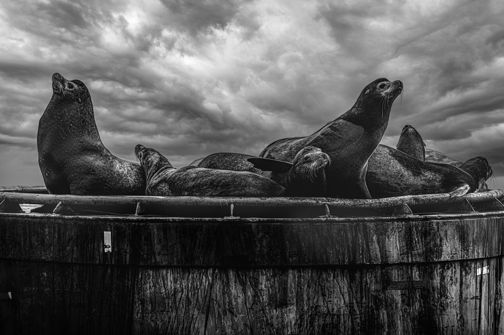 Photograph by Joaquin Silva