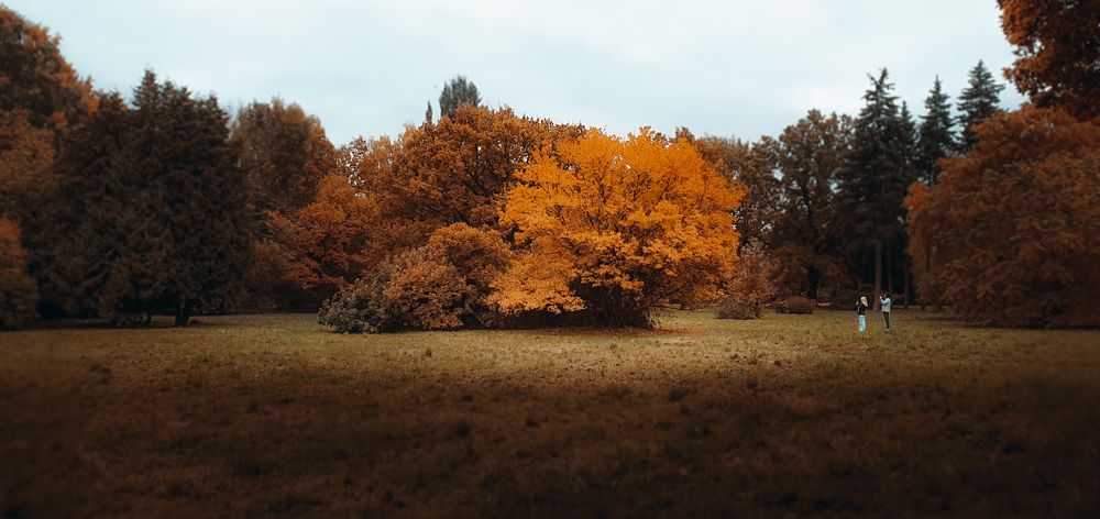 Photograph by Павел Быков