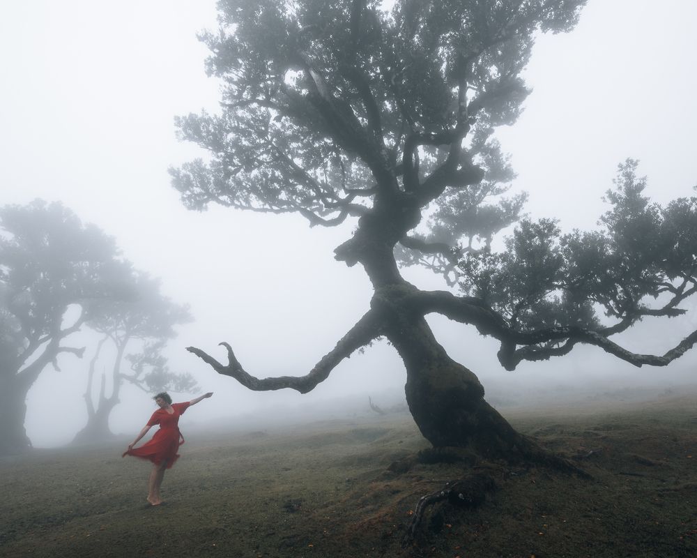 Photograph by Massimiliano Coniglio