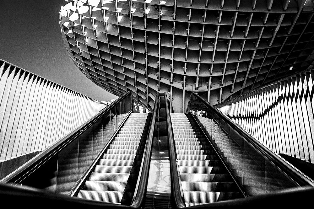 Photograph by Amelia Pardo