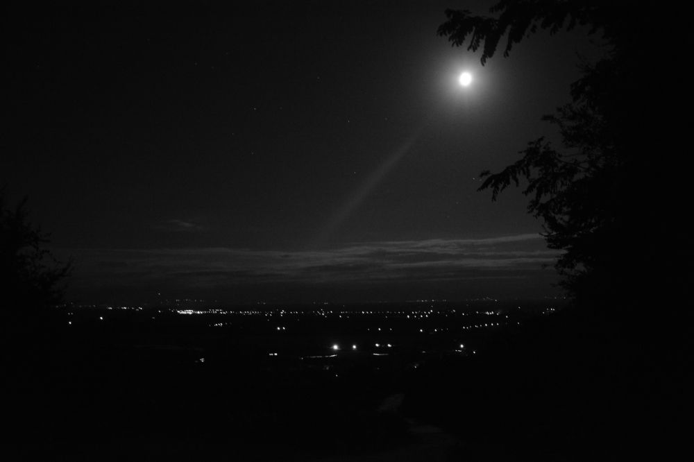 Photograph by Shota Gogoli