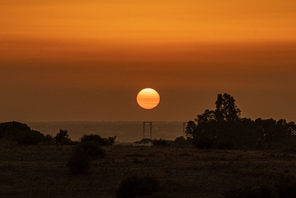 Photograph by Amelia Pardo