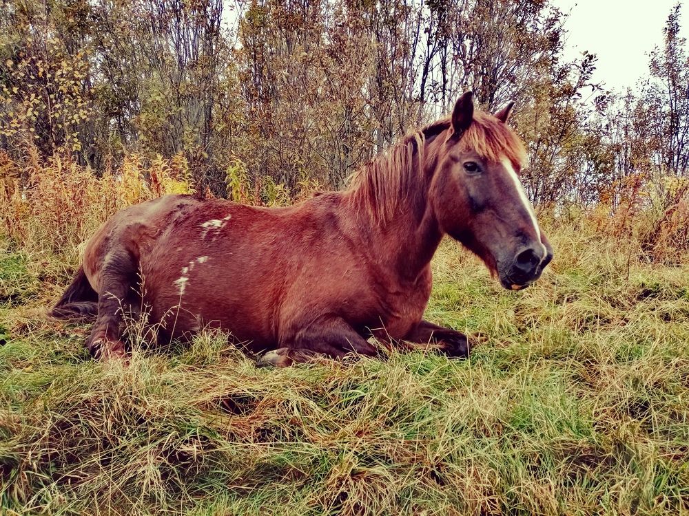Photograph by Екатерина Филина