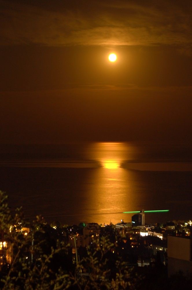 Photograph by Olga Martynenko