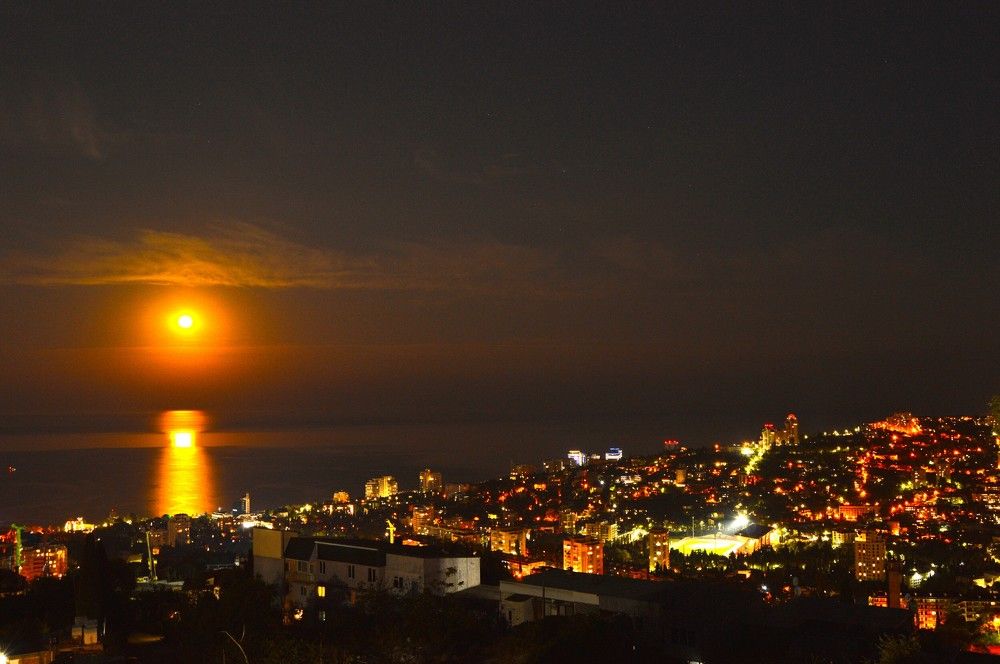 Photograph by Olga Martynenko