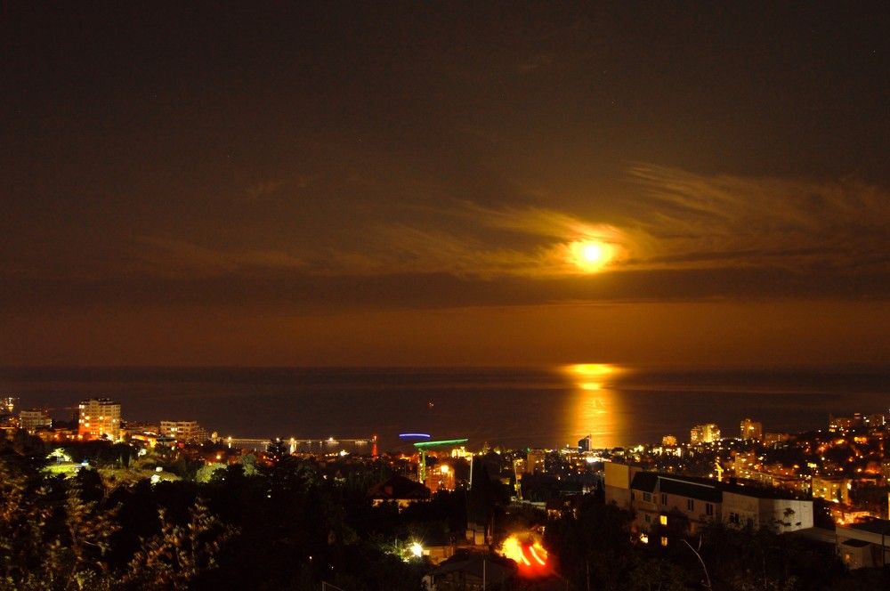 Photograph by Olga Martynenko