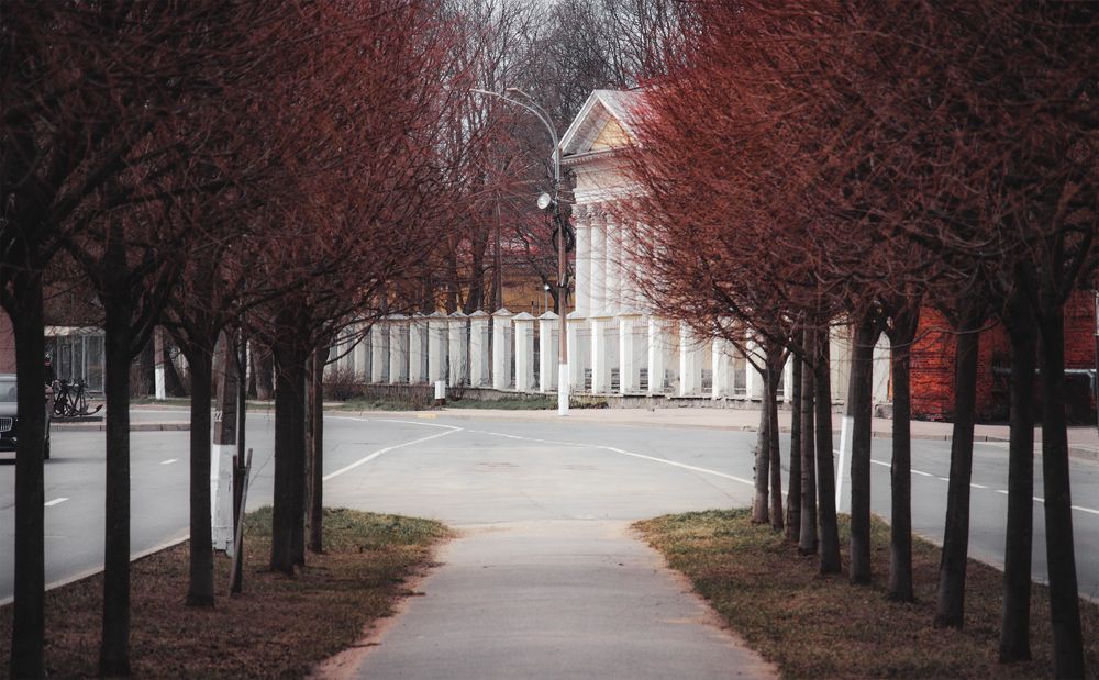 Фотография автора Lyudmila Yakovleva