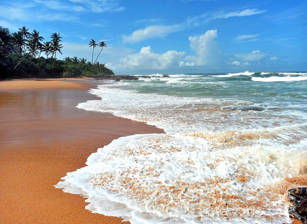 На берегу Индийского океана