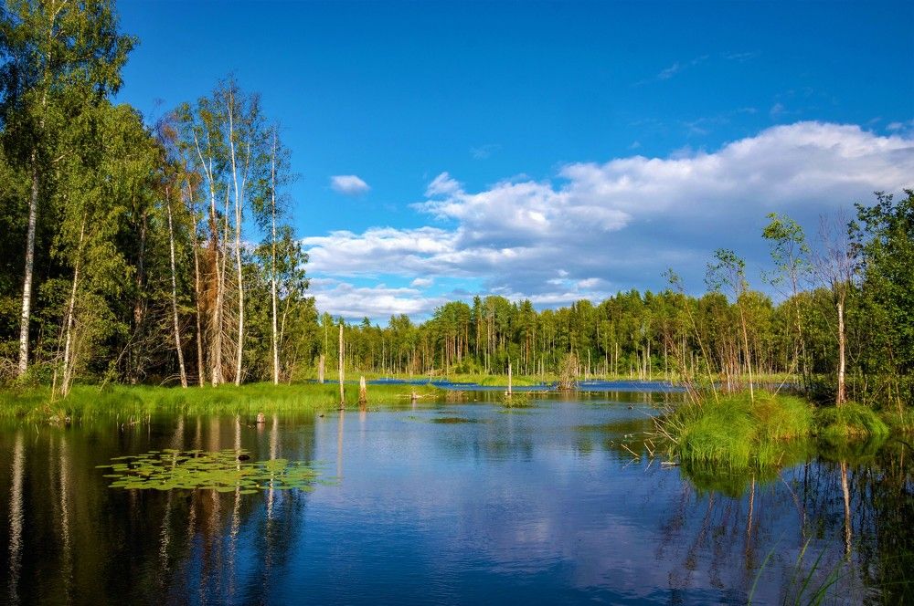 Photograph by Олег Менакер